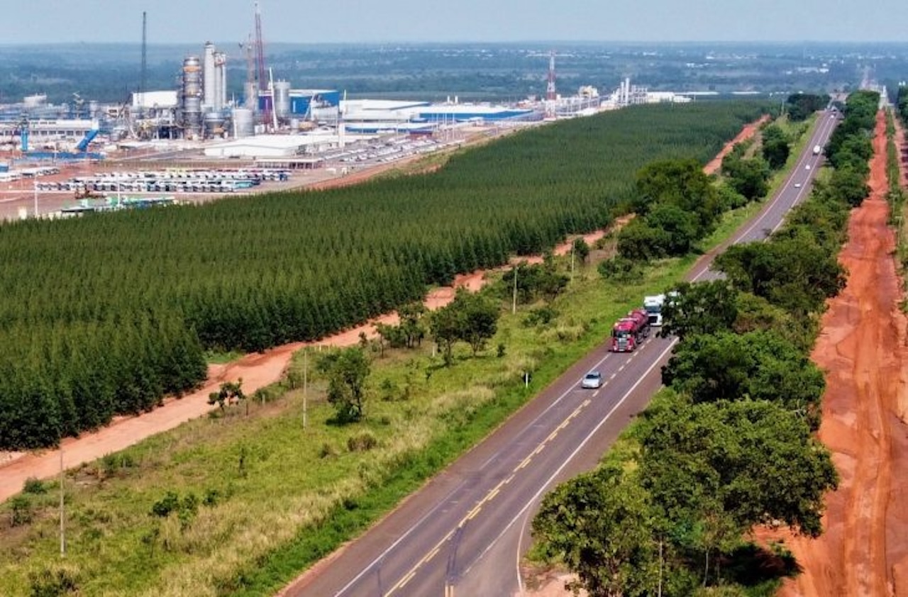Consórcio K&G Rota da Celulose vence leilão de concessão rodoviária do MS