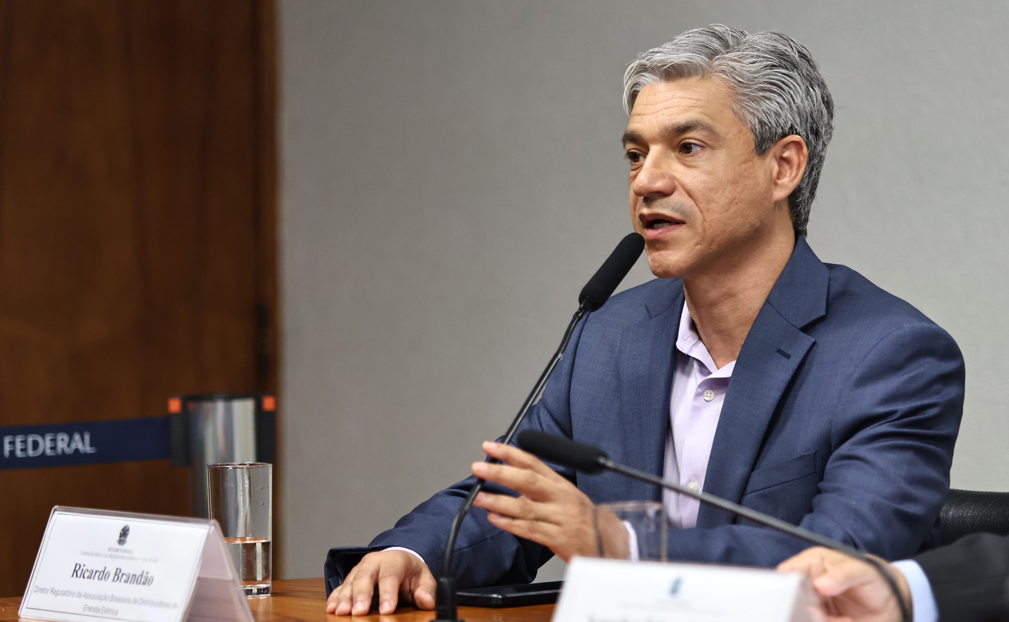 Ricardo Brandao, diretor de Regulação da Abradee