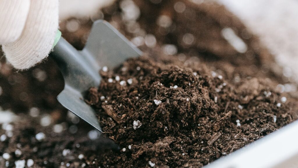 Foto: Sasha Kim/Pexels